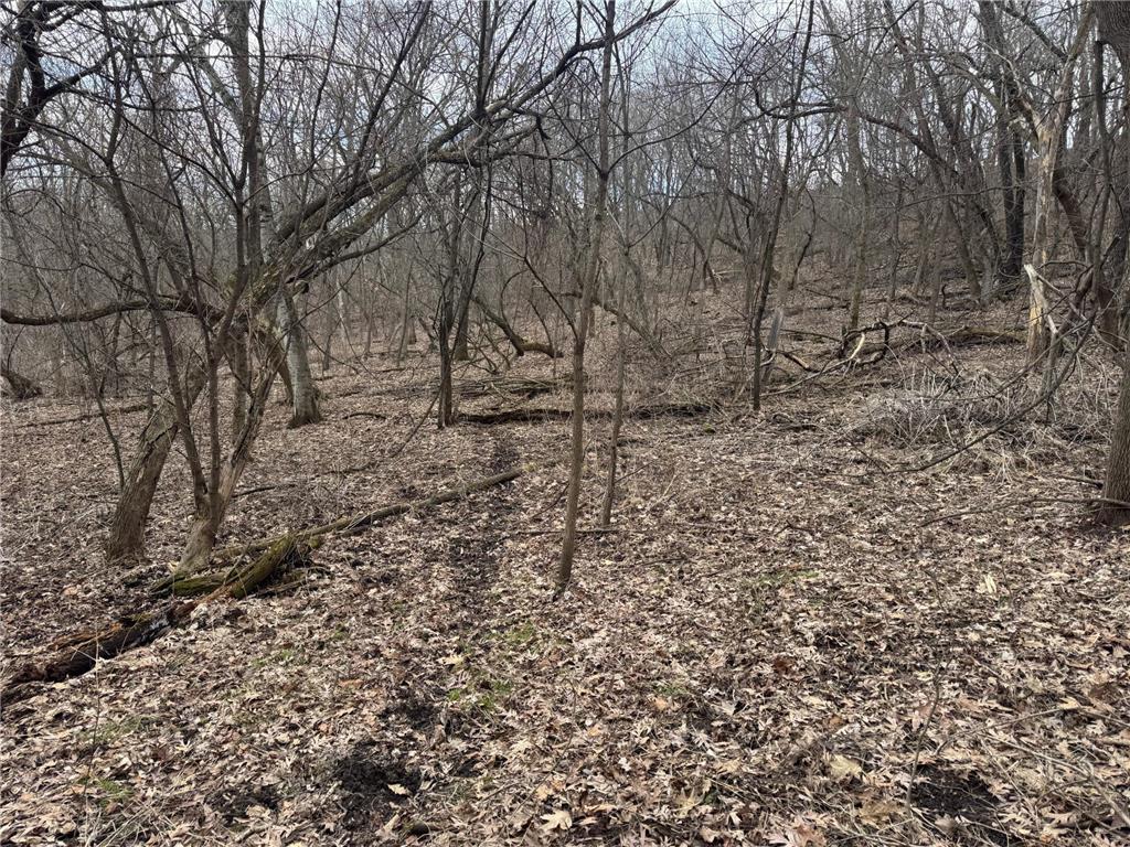 0 Theurer Lane Glencoe Twp WI 54612 7036311 image19