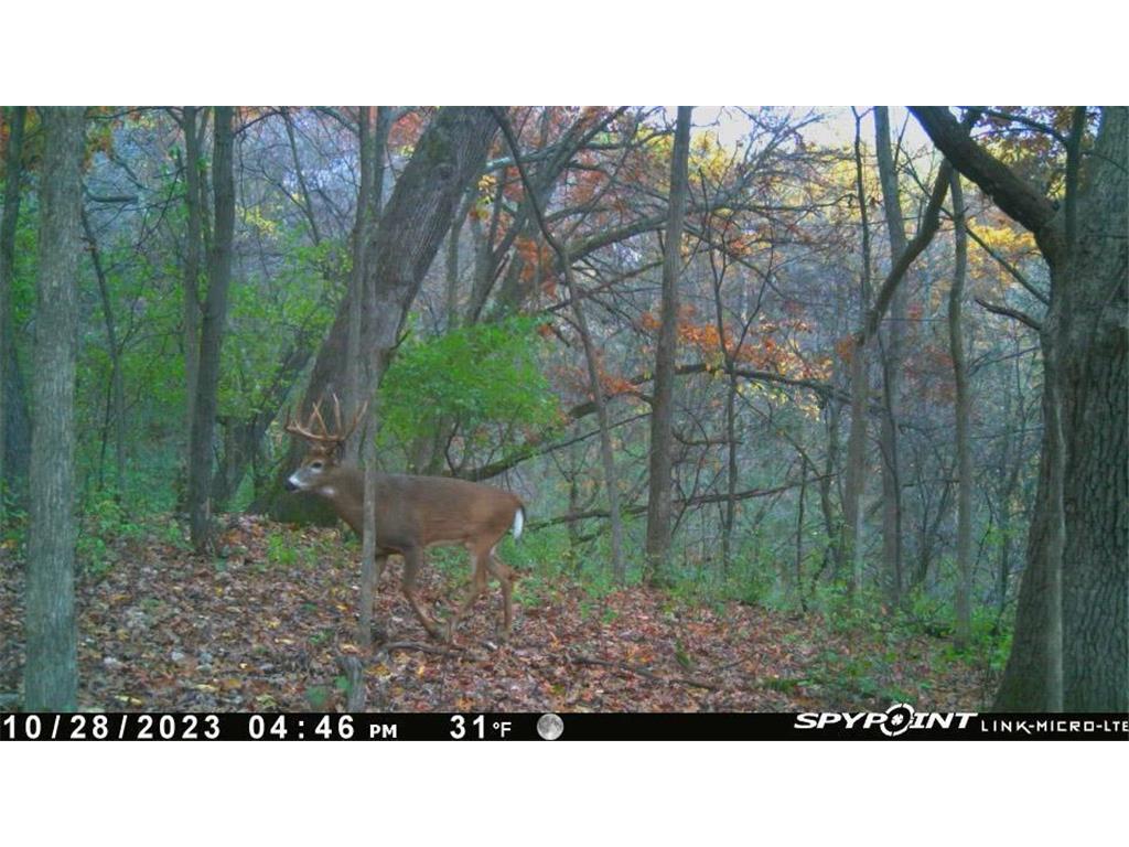 0 Theurer Lane Glencoe Twp WI 54612 7036311 image2