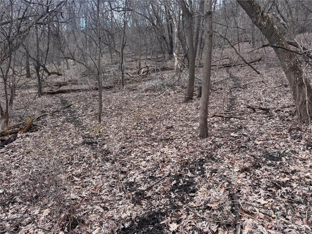 0 Theurer Lane Glencoe Twp WI 54612 7036311 image20