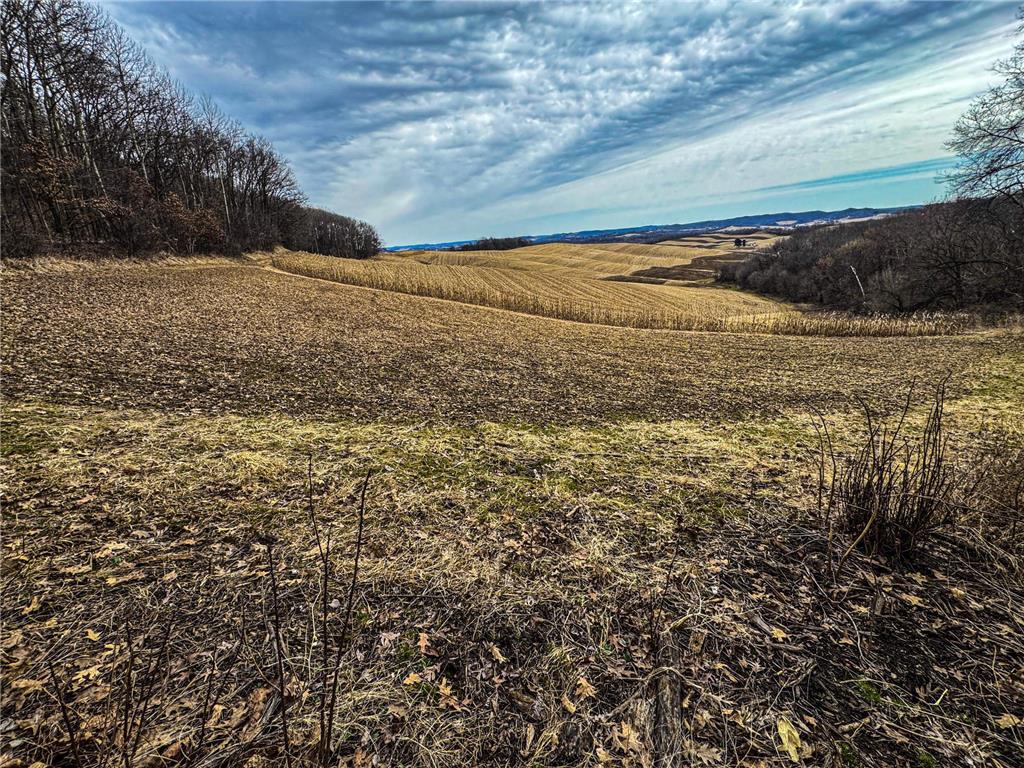 0 Theurer Lane Glencoe Twp WI 54612 7036311 image21