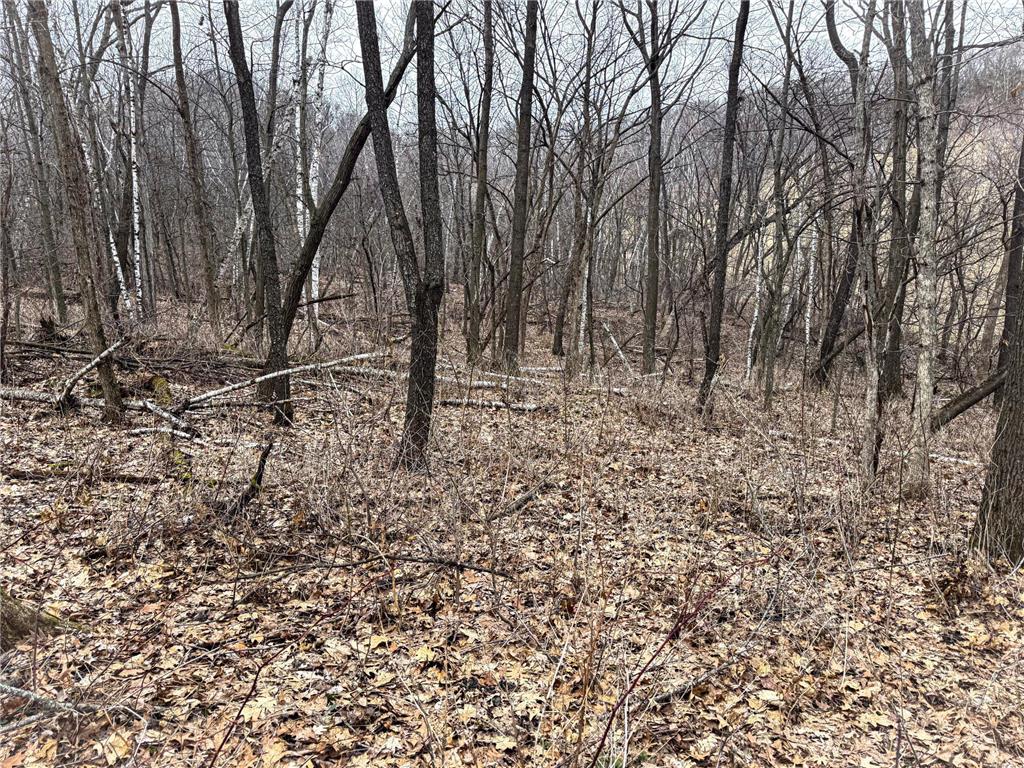 0 Theurer Lane Glencoe Twp WI 54612 7036311 image22