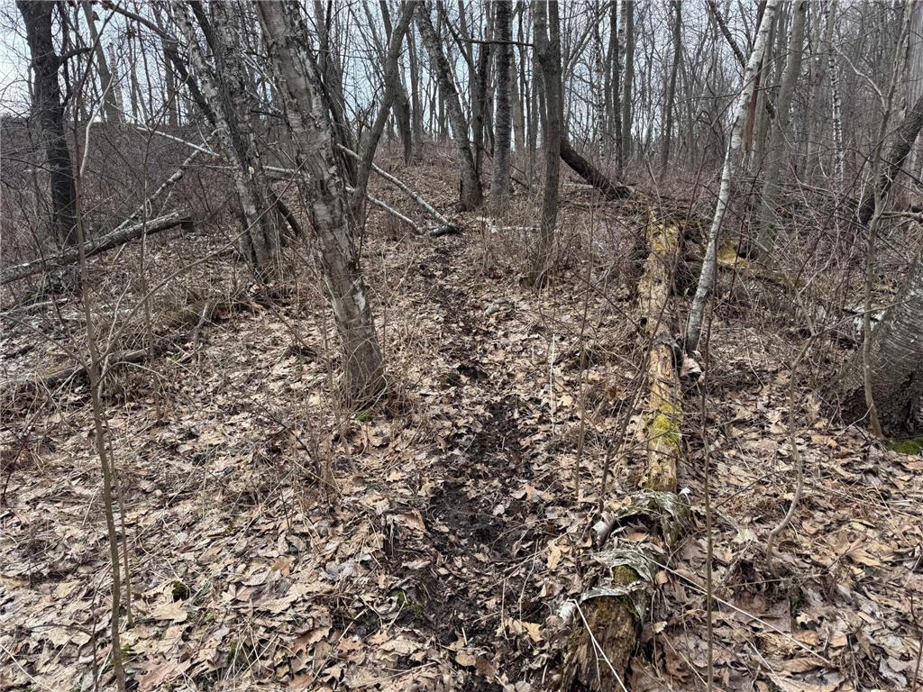 0 Theurer Lane Glencoe Twp WI 54612 7036311 image23