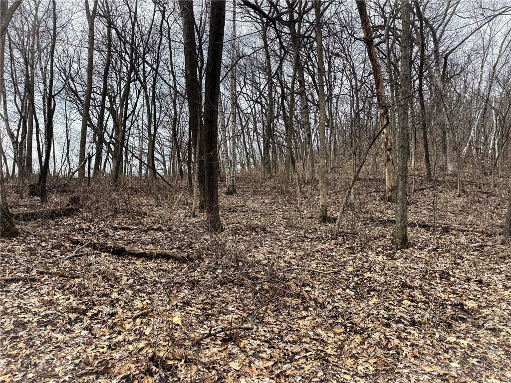 0 Theurer Lane Glencoe Twp WI 54612 7036311 image24