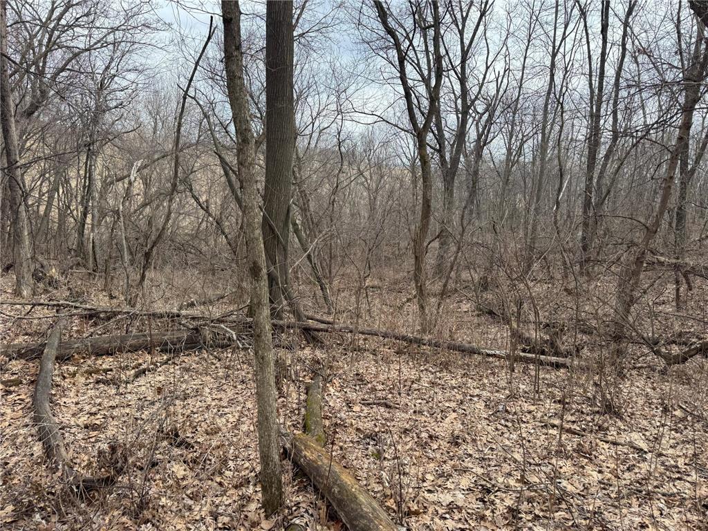 0 Theurer Lane Glencoe Twp WI 54612 7036311 image25