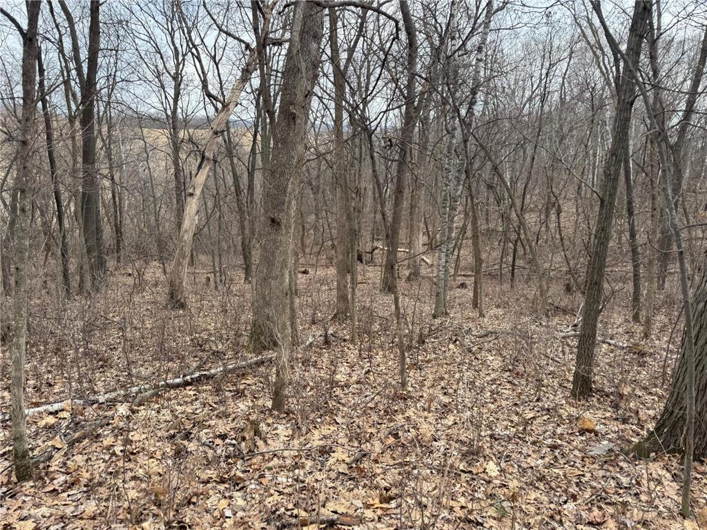 0 Theurer Lane Glencoe Twp WI 54612 7036311 image26