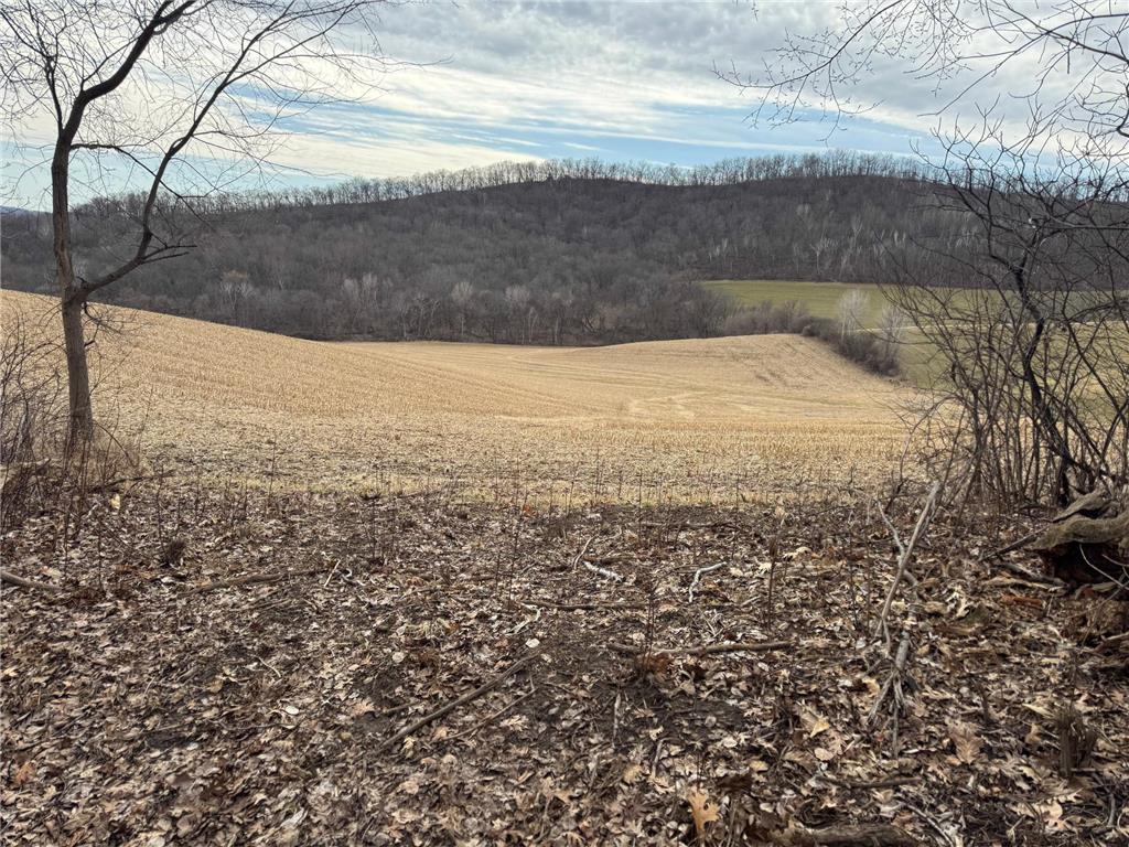 0 Theurer Lane Glencoe Twp WI 54612 7036311 image27