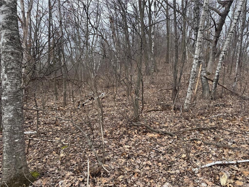 0 Theurer Lane Glencoe Twp WI 54612 7036311 image28