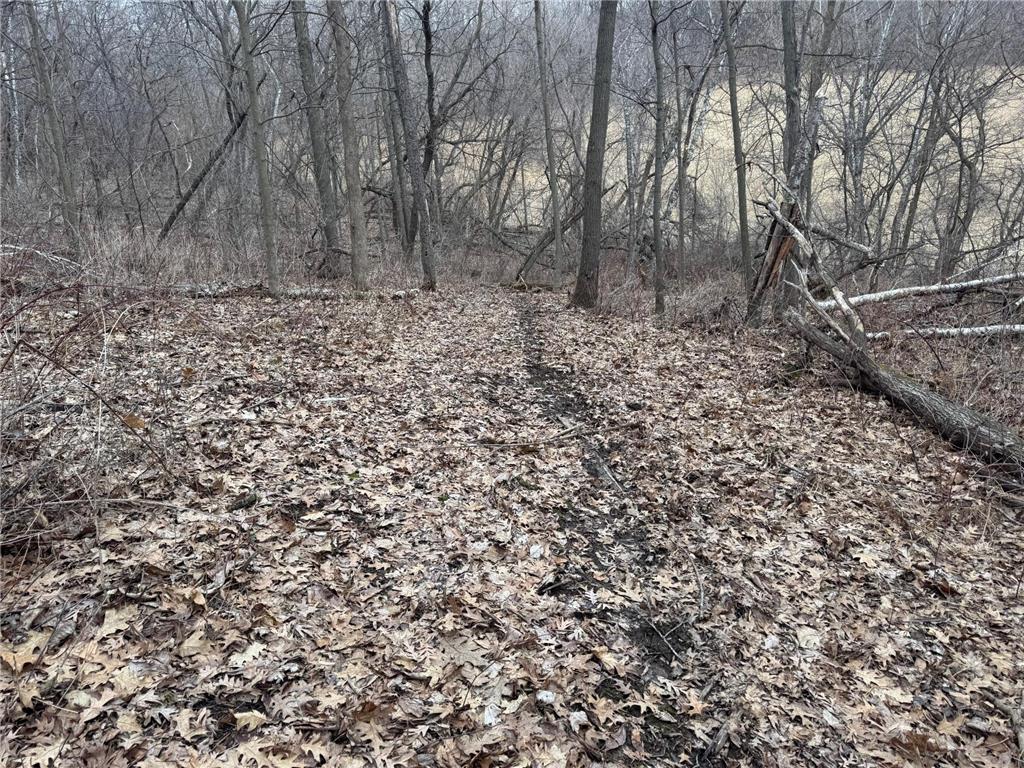 0 Theurer Lane Glencoe Twp WI 54612 7036311 image29