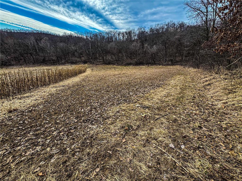 0 Theurer Lane Glencoe Twp WI 54612 7036311 image3