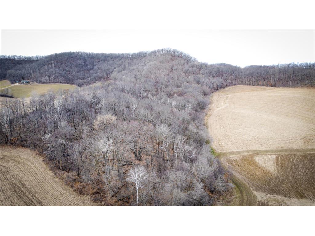 0 Theurer Lane Glencoe Twp WI 54612 7036311 image31