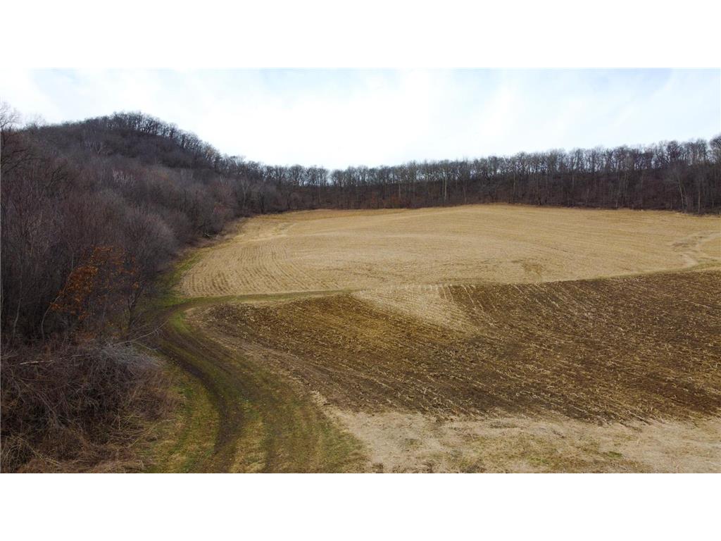 0 Theurer Lane Glencoe Twp WI 54612 7036311 image35