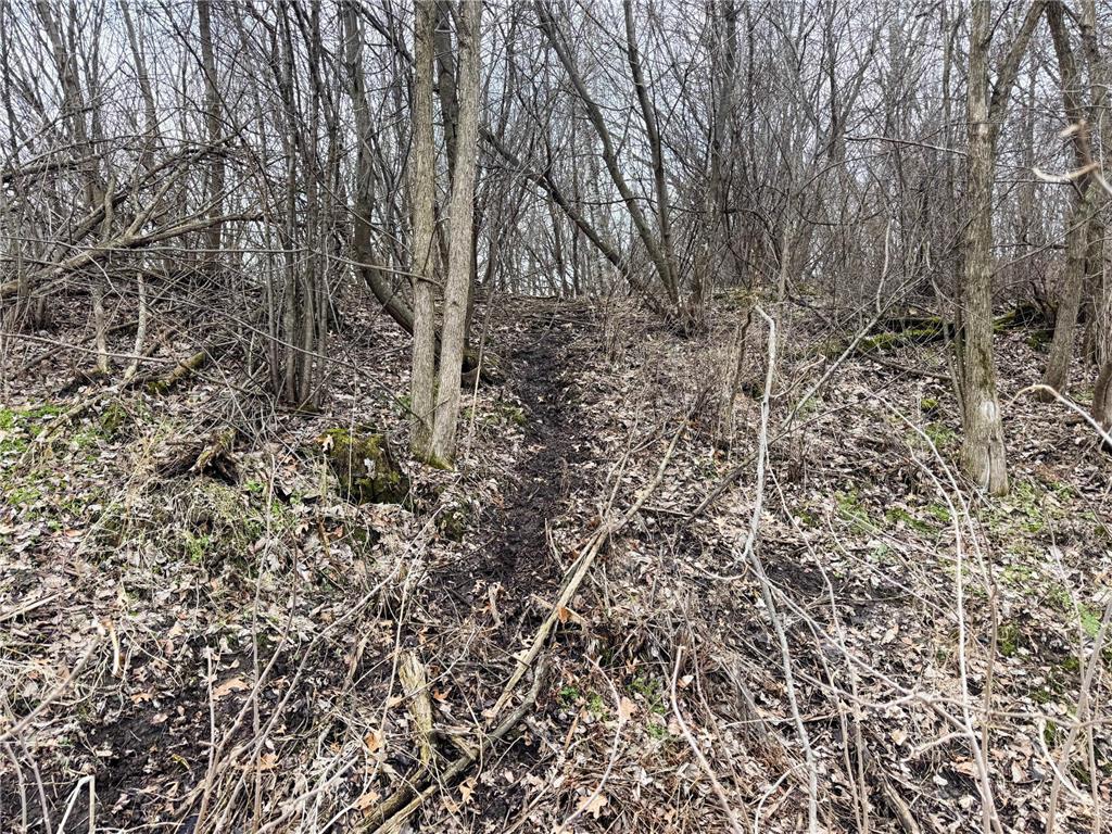 0 Theurer Lane Glencoe Twp WI 54612 7036311 image36