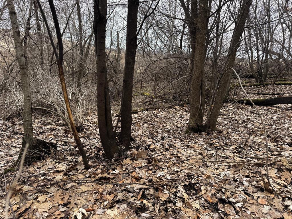 0 Theurer Lane Glencoe Twp WI 54612 7036311 image37