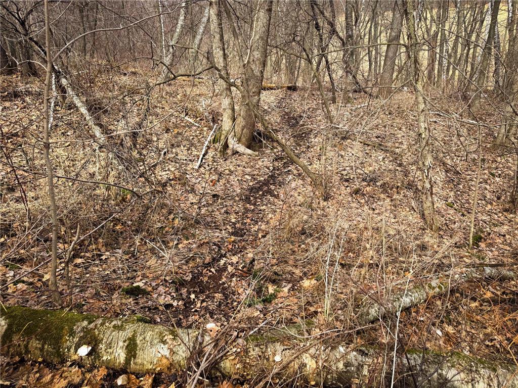 0 Theurer Lane Glencoe Twp WI 54612 7036311 image38