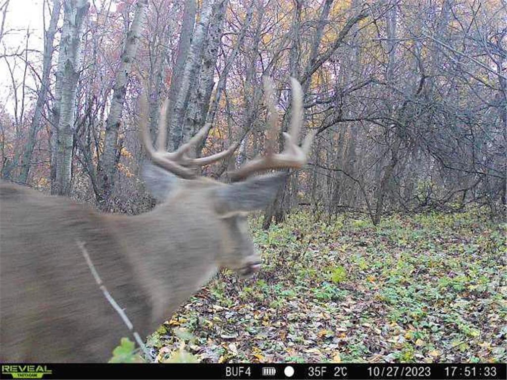 0 Theurer Lane Glencoe Twp WI 54612 7036311 image4