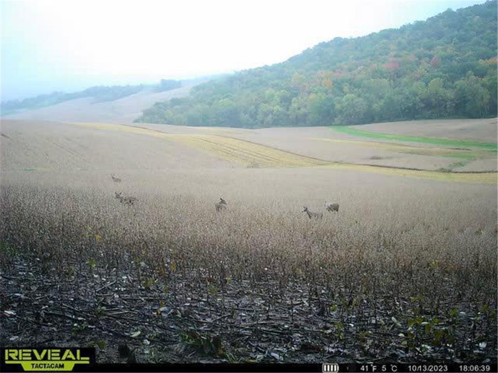 0 Theurer Lane Glencoe Twp WI 54612 7036311 image41