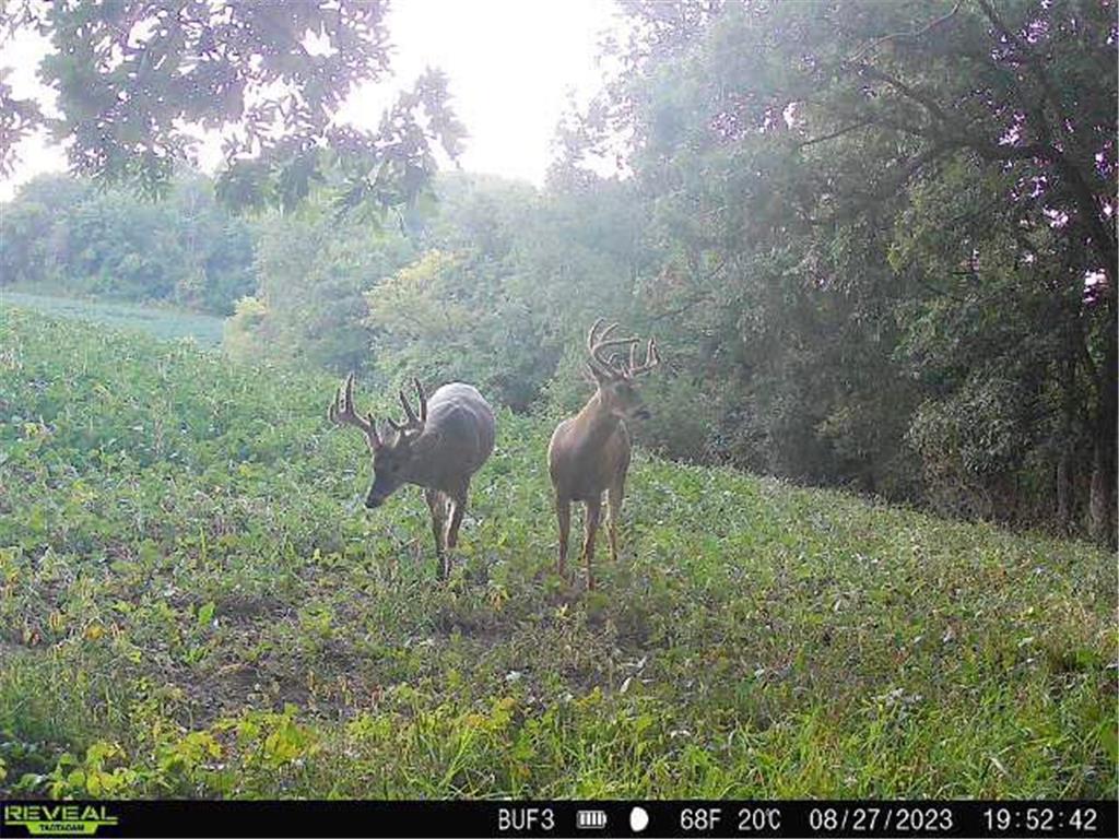 0 Theurer Lane Glencoe Twp WI 54612 7036311 image42