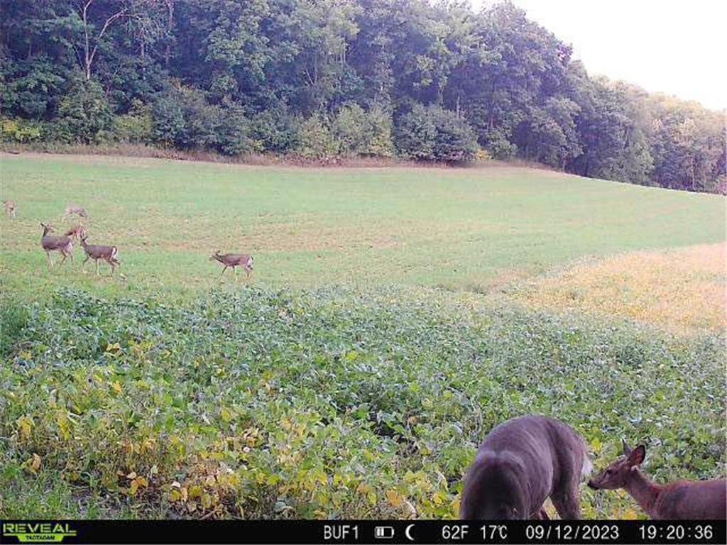 0 Theurer Lane Glencoe Twp WI 54612 7036311 image43