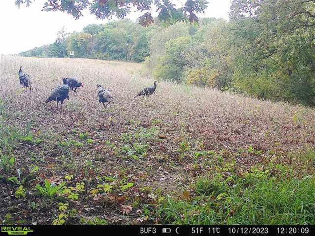 0 Theurer Lane Glencoe Twp WI 54612 7036311 image44