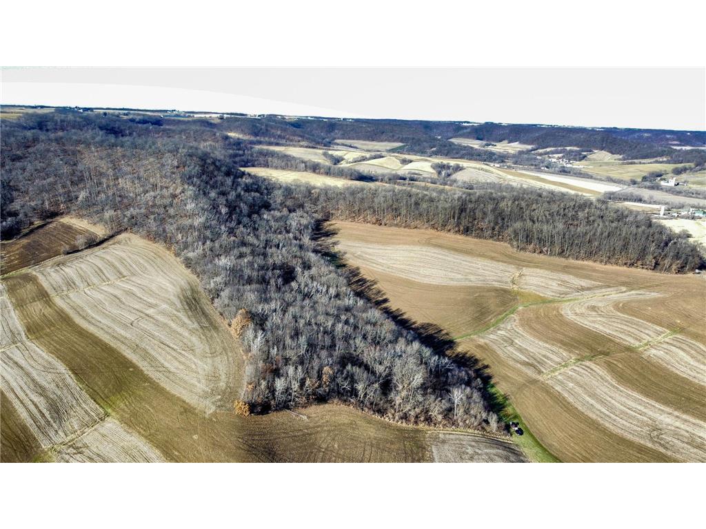 0 Theurer Lane Glencoe Twp WI 54612 7036311 image45