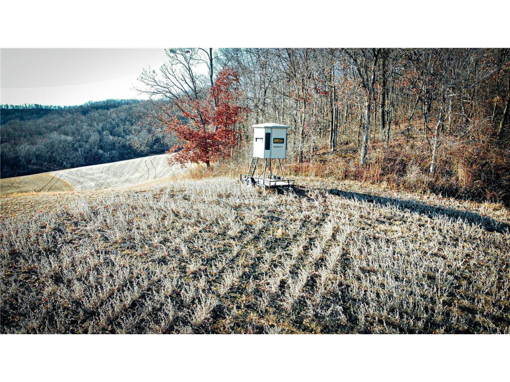 0 Theurer Lane Glencoe Twp WI 54612 7036311 image48