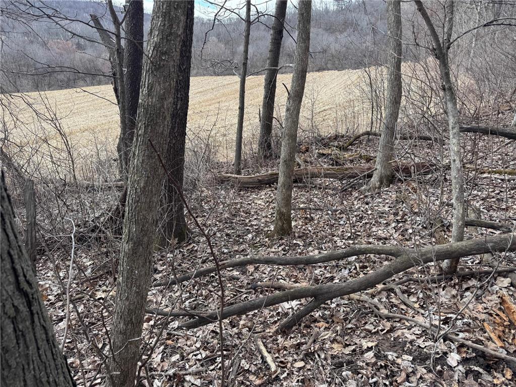 0 Theurer Lane Glencoe Twp WI 54612 7036311 image5