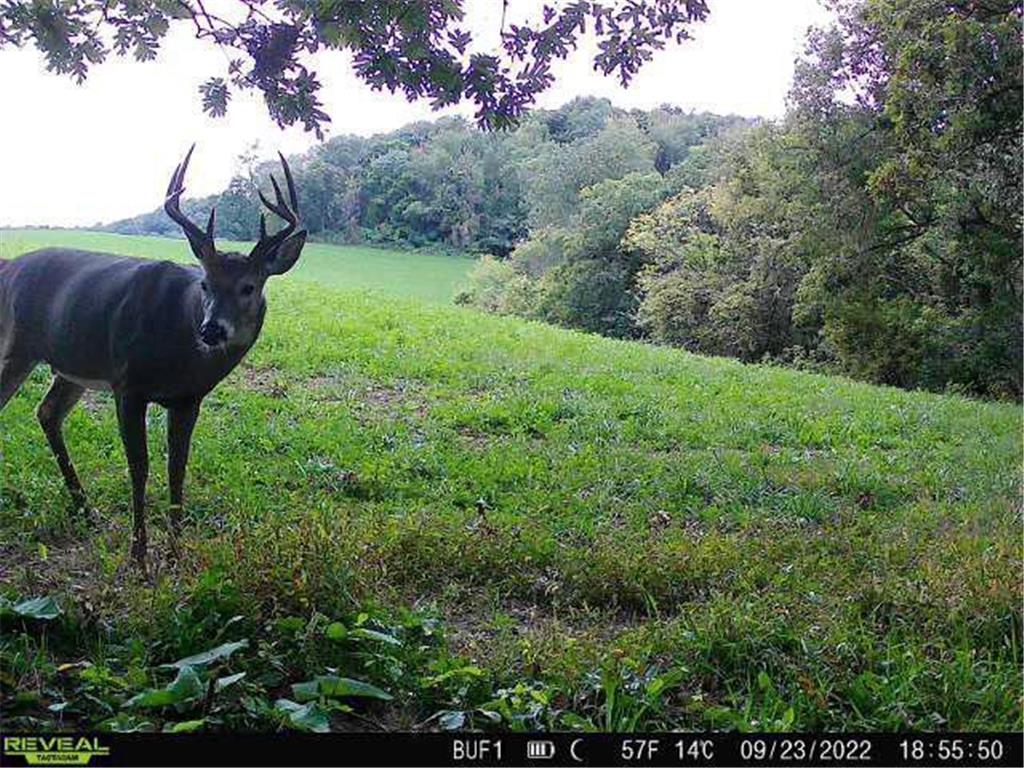 0 Theurer Lane Glencoe Twp WI 54612 7036311 image6