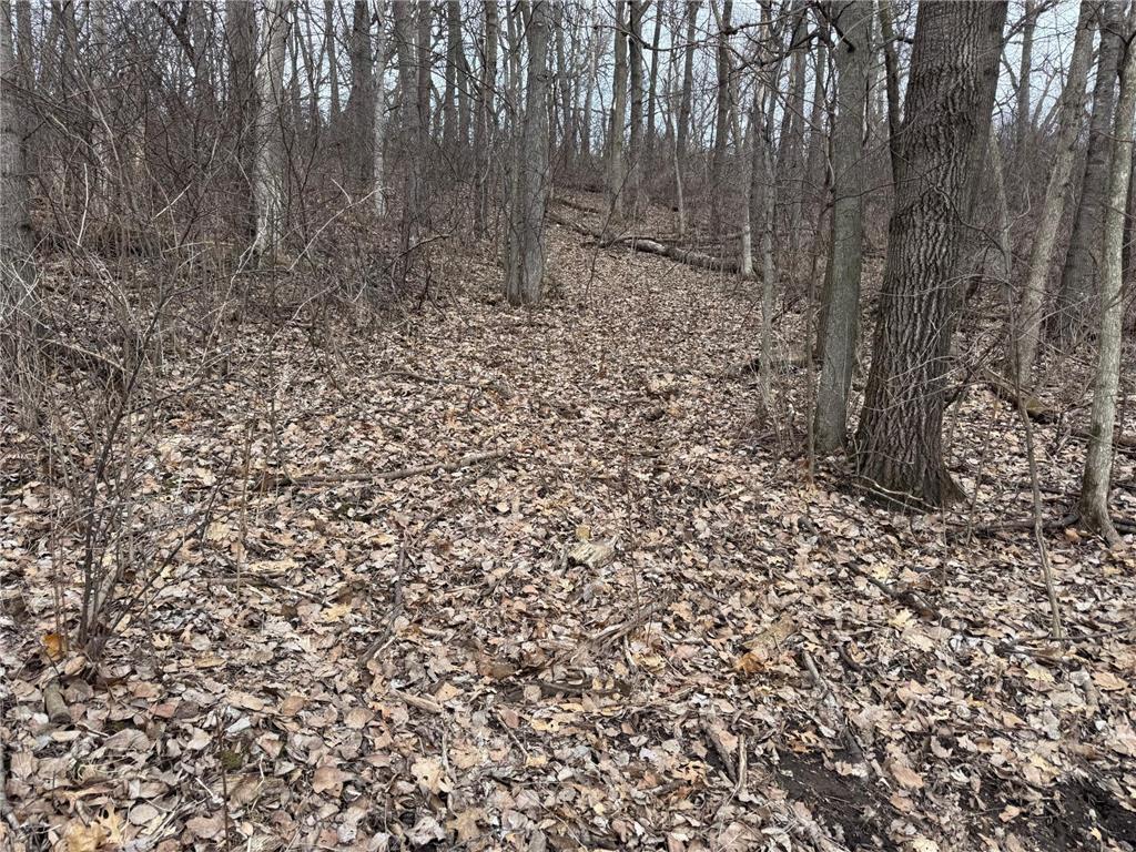 0 Theurer Lane Glencoe Twp WI 54612 7036311 image7