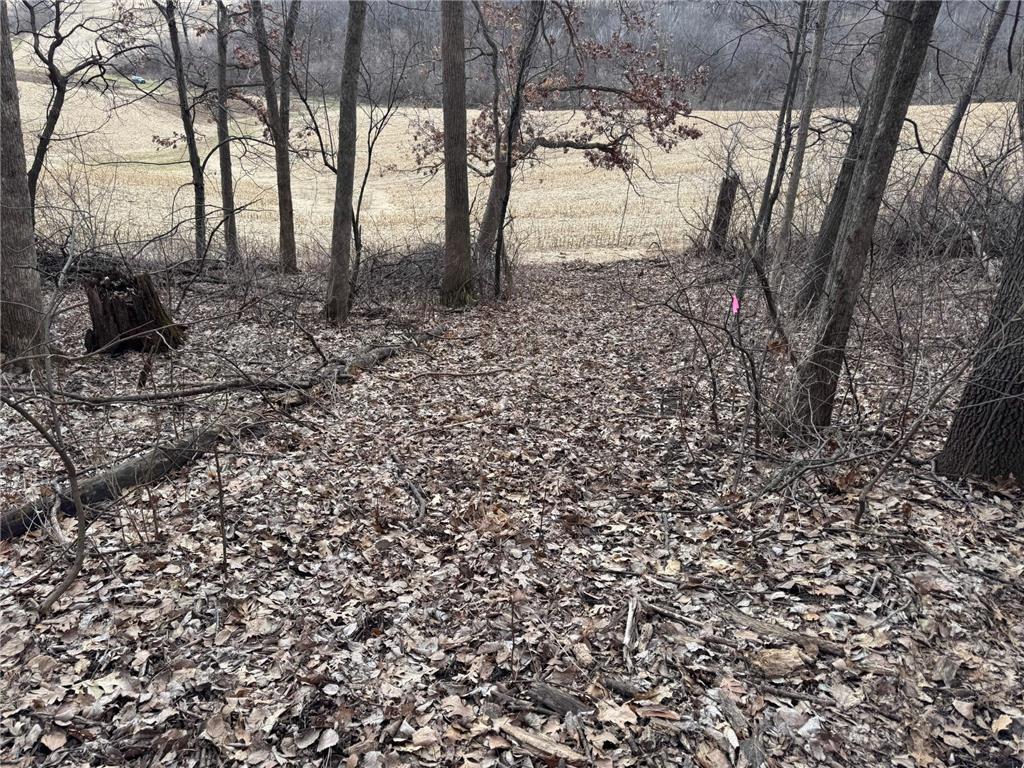 0 Theurer Lane Glencoe Twp WI 54612 7036311 image9