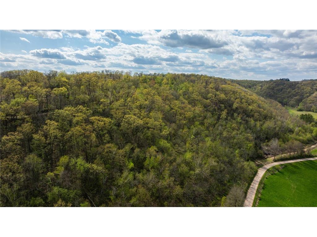 0 Yaeger Valley Road Waumandee WI 54622 7014358 image10