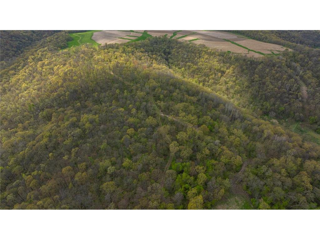 0 Yaeger Valley Road Waumandee WI 54622 7014358 image17