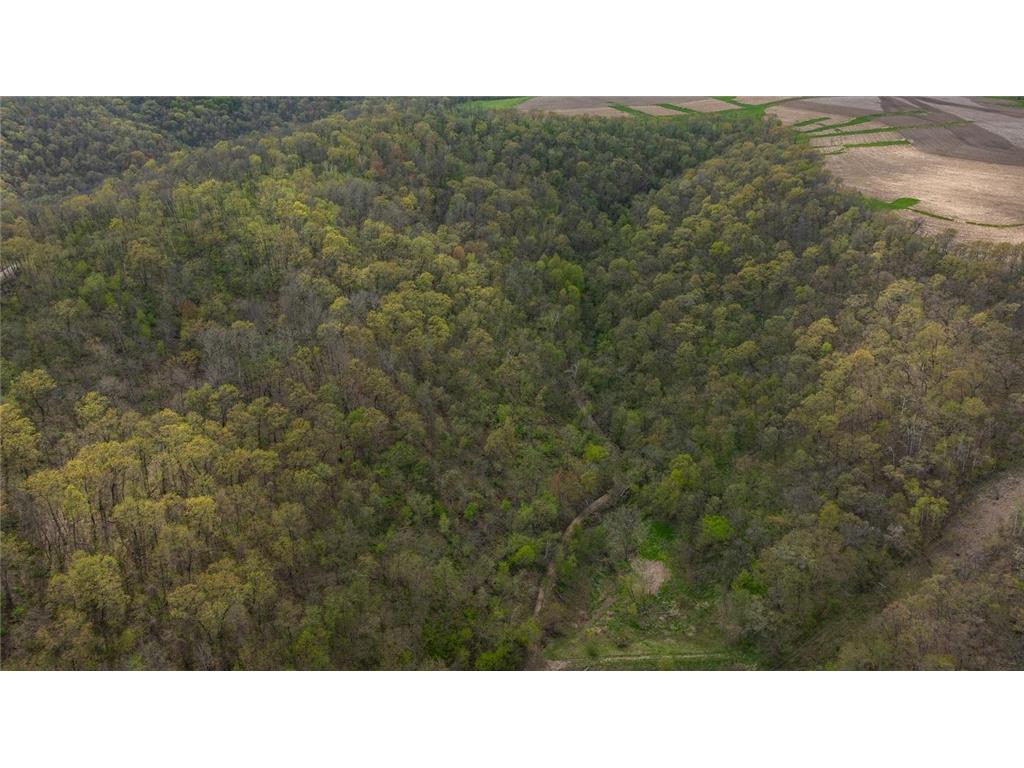 0 Yaeger Valley Road Waumandee WI 54622 7014358 image32