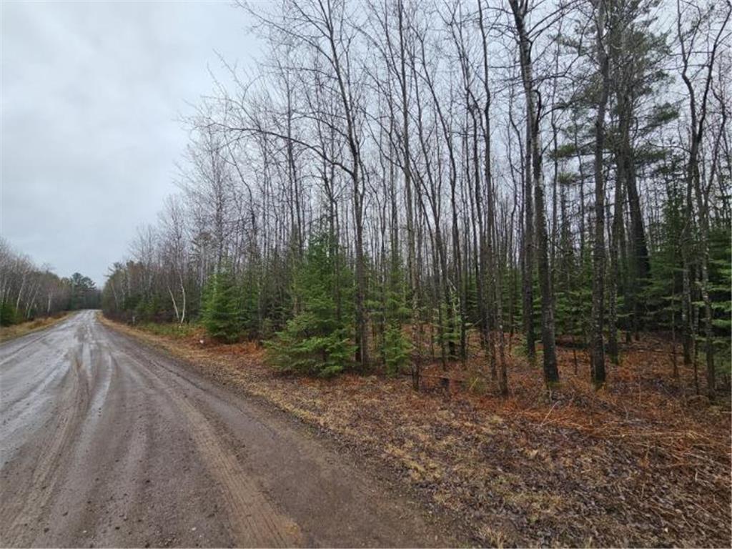 0 Yellow Birch Lane Cloquet MN 55720 6527790 image1