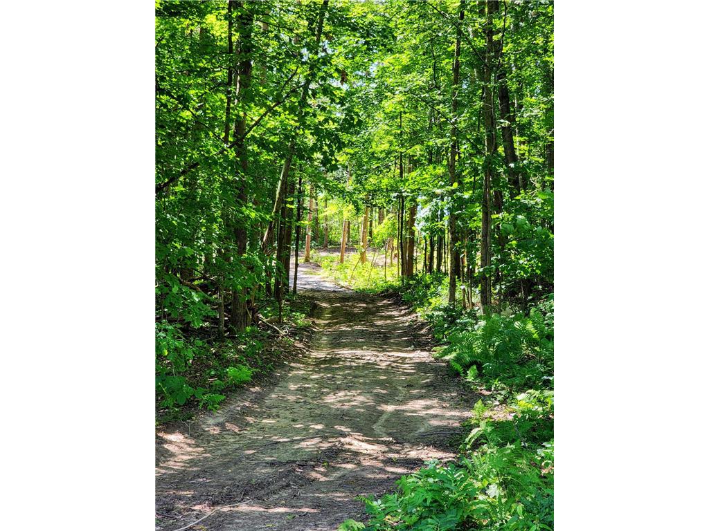 00 1 1/2 Lot 5 Street Cumberland WI 54829 - Upper Waterman 6584717 image1