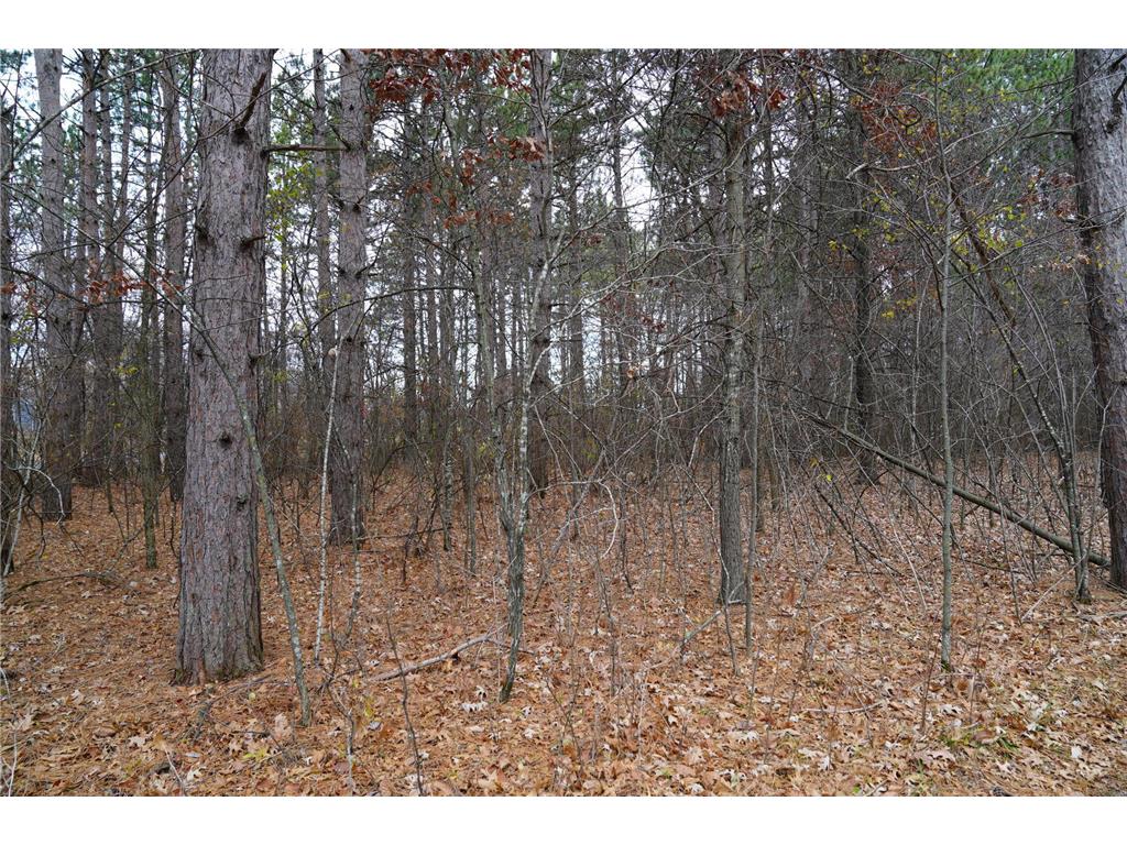 00 100th Street New Richmond Twp WI 54017 - Willow River 6337538 image1