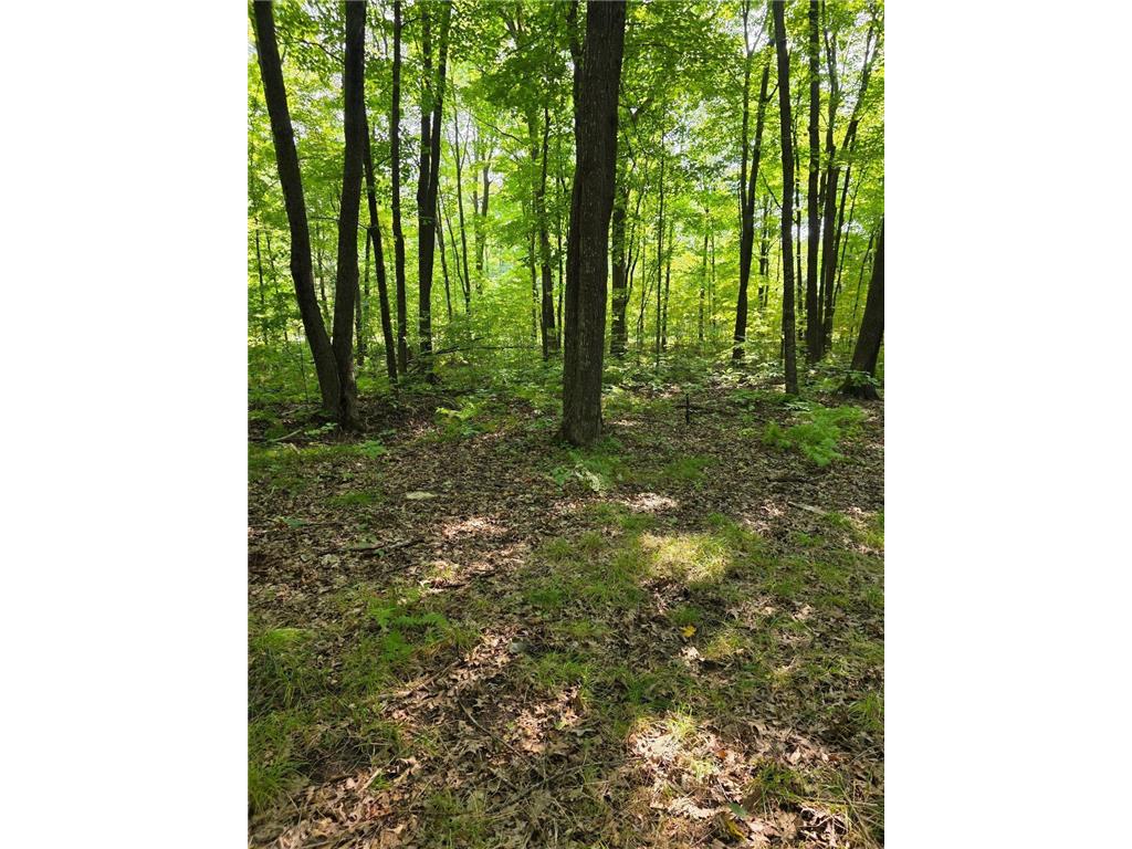 00 30th Street Mckinley Twp WI 54829 6785097 image1