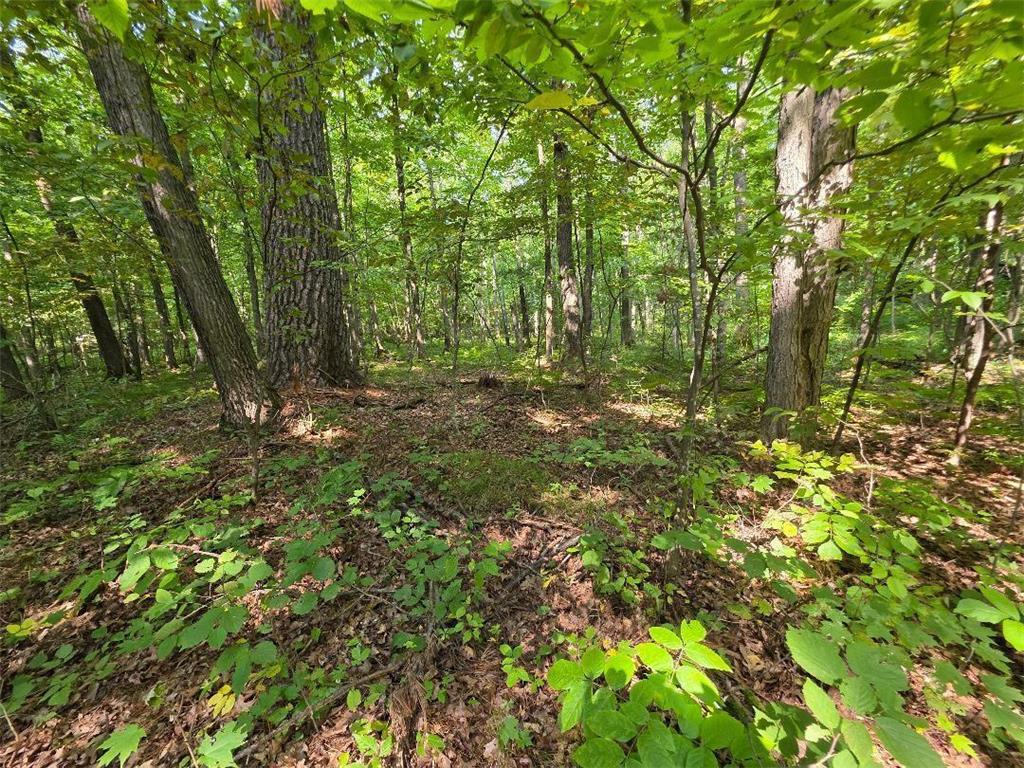 00 30th Street Mckinley Twp WI 54829 6785097 image2