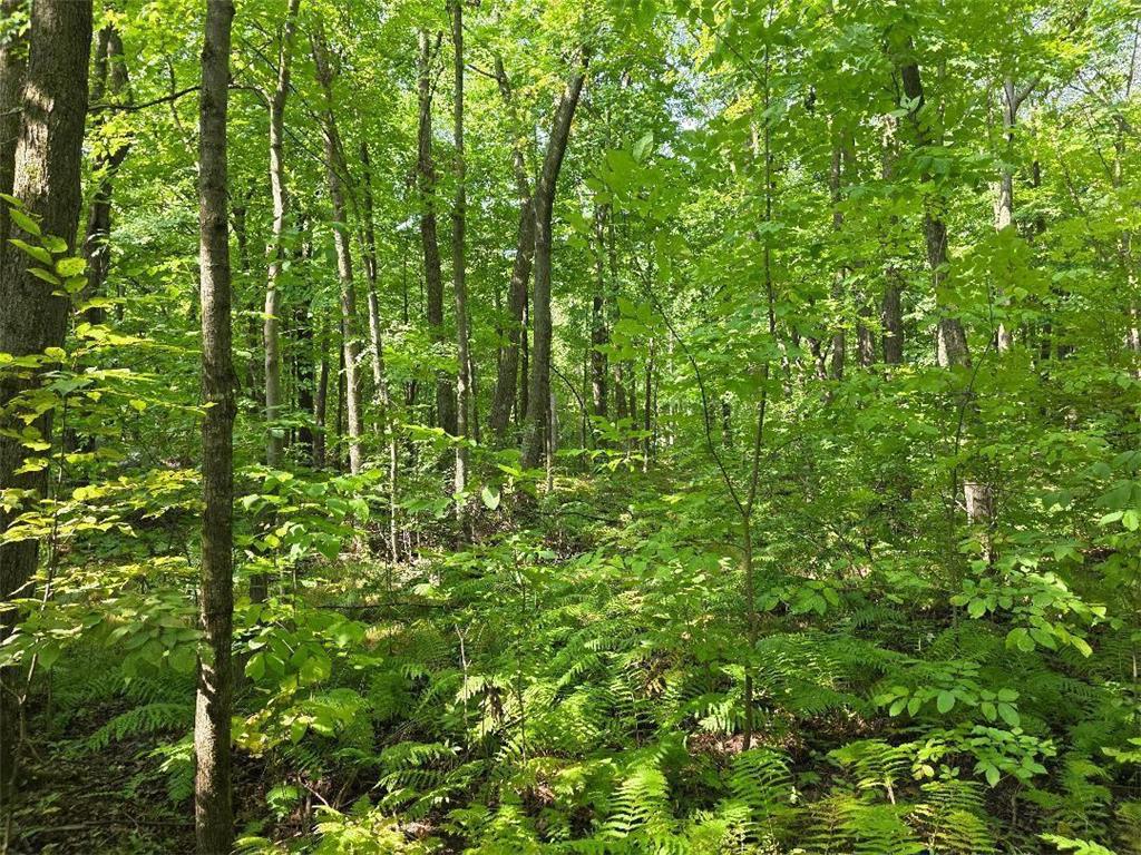 00 30th Street Mckinley Twp WI 54829 6785097 image3