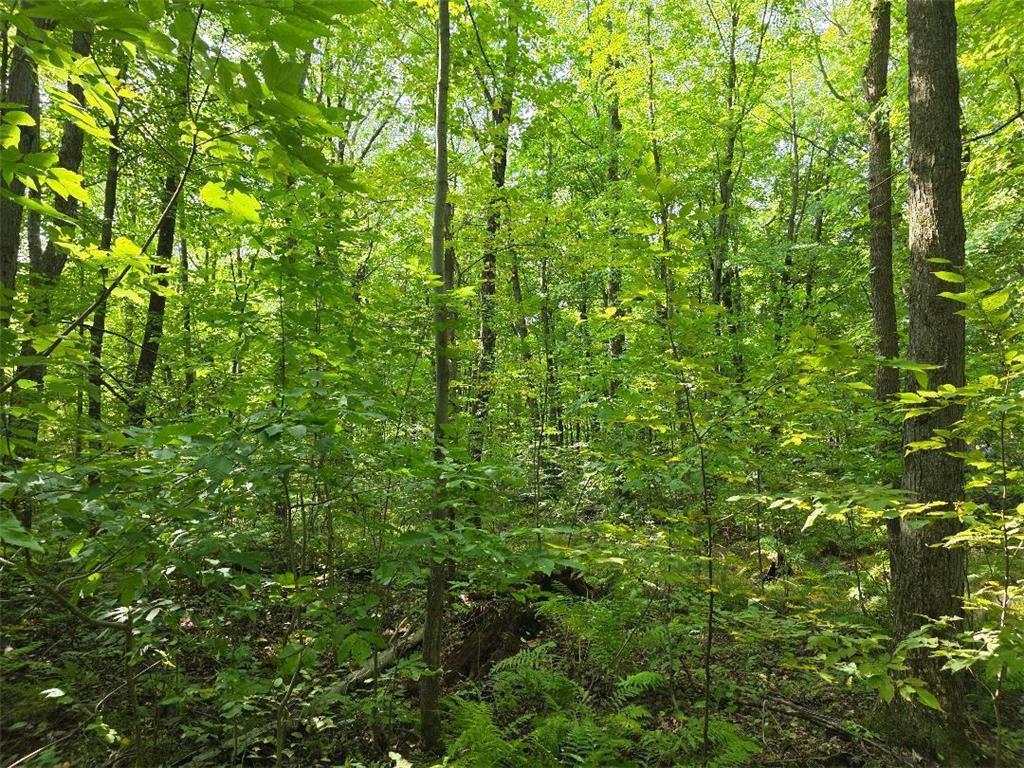 00 30th Street Mckinley Twp WI 54829 6785097 image8