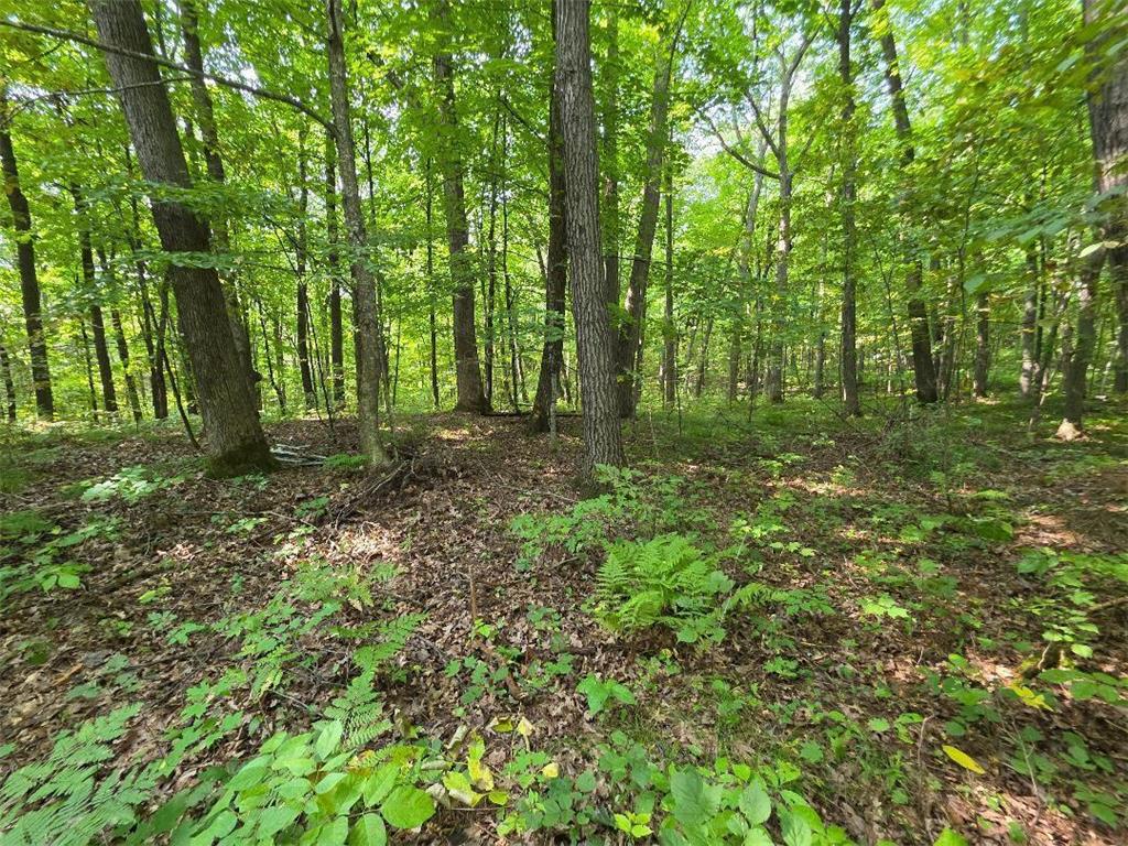 00 30th Street Mckinley Twp WI 54829 6785097 image9