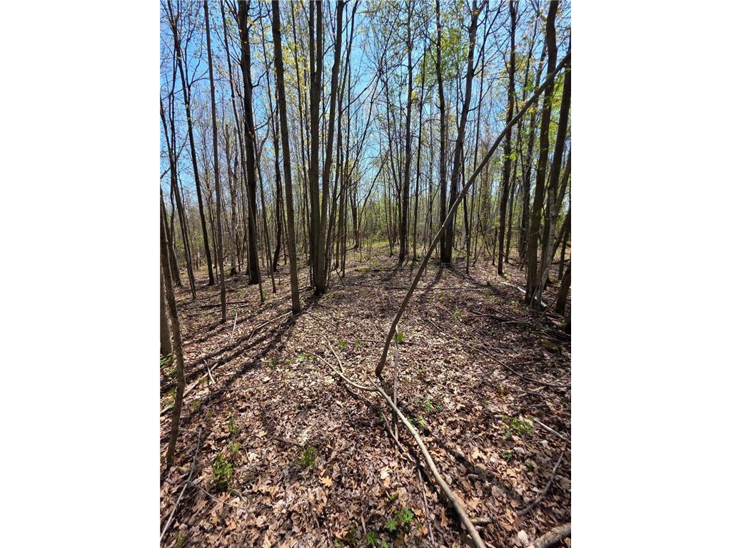 00 4th Vance Creek Twp WI 54004 6718322 image10