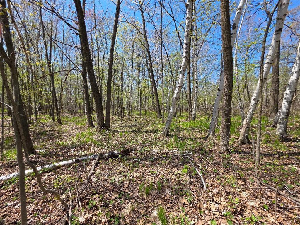 00 4th Vance Creek Twp WI 54004 6718322 image11
