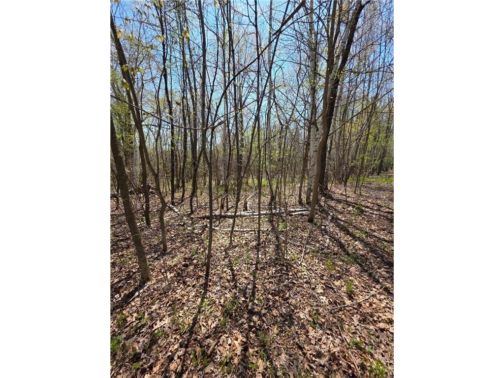 00 4th Vance Creek Twp WI 54004 6718322 image12