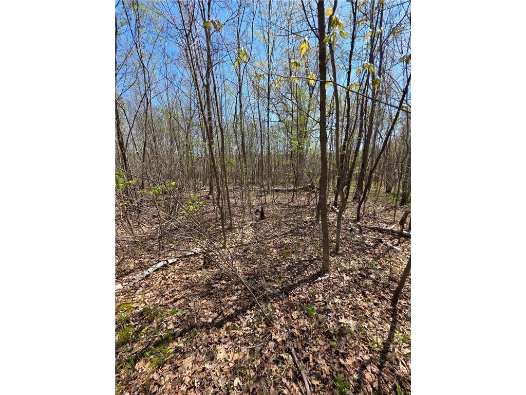 00 4th Vance Creek Twp WI 54004 6718322 image13