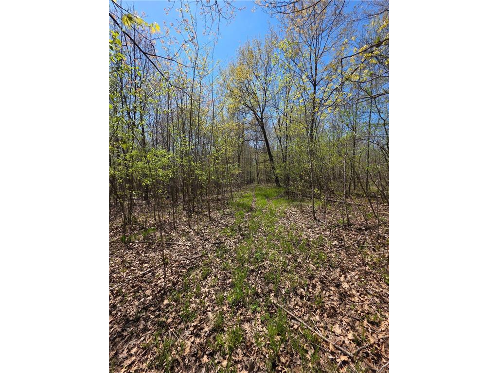 00 4th Vance Creek Twp WI 54004 6718322 image14