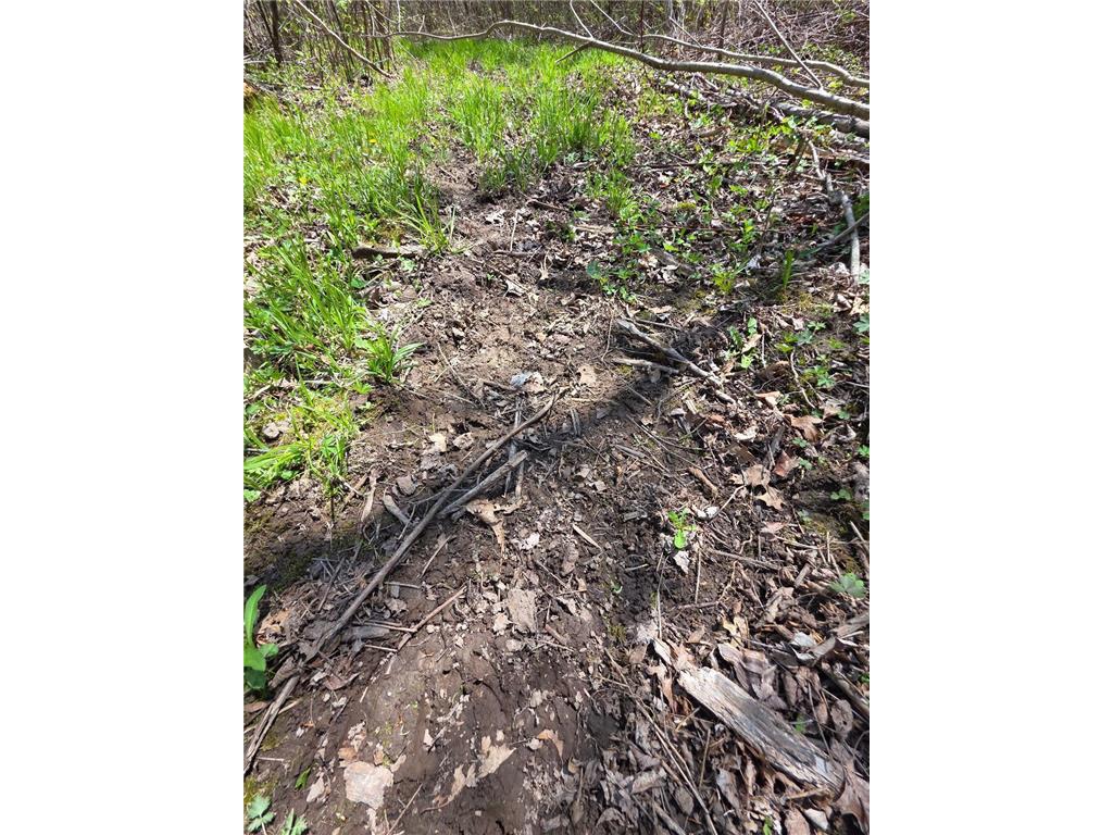 00 4th Vance Creek Twp WI 54004 6718322 image17