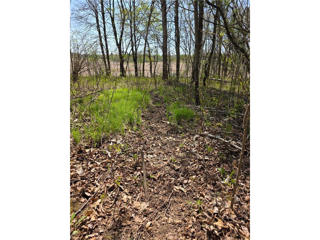 00 4th Vance Creek Twp WI 54004 6718322 image19