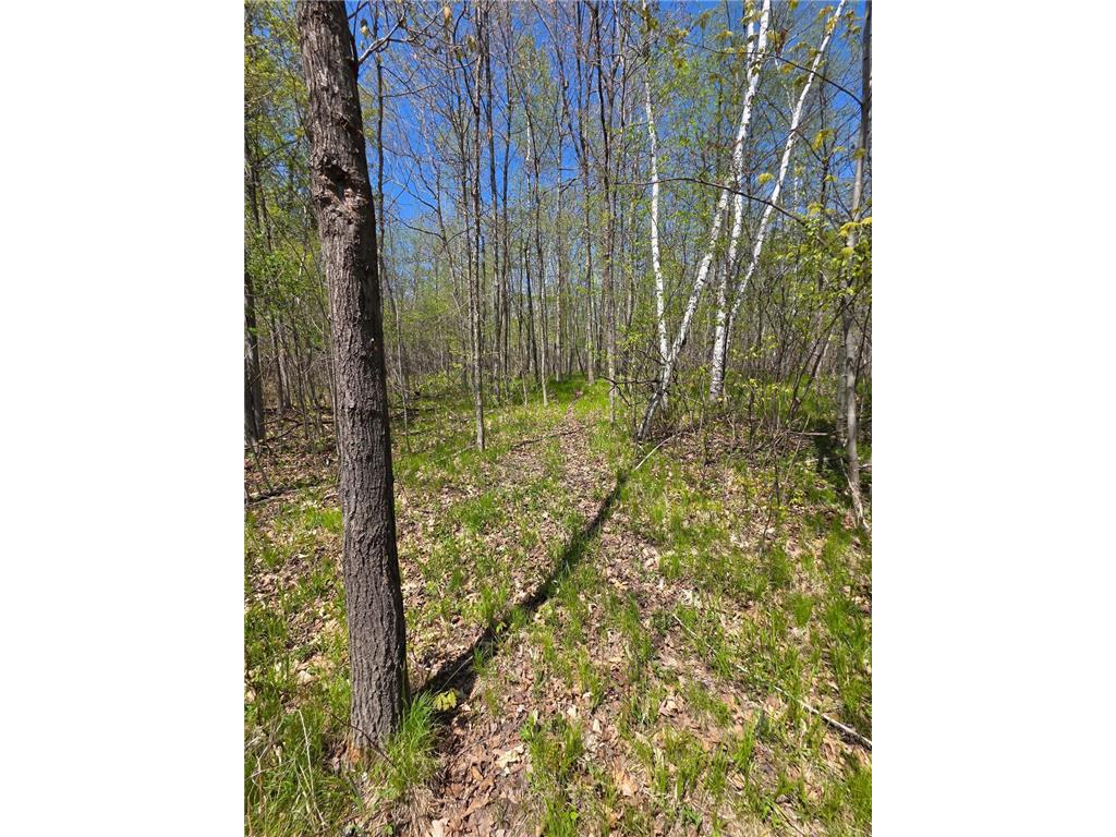 00 4th Vance Creek Twp WI 54004 6718322 image4