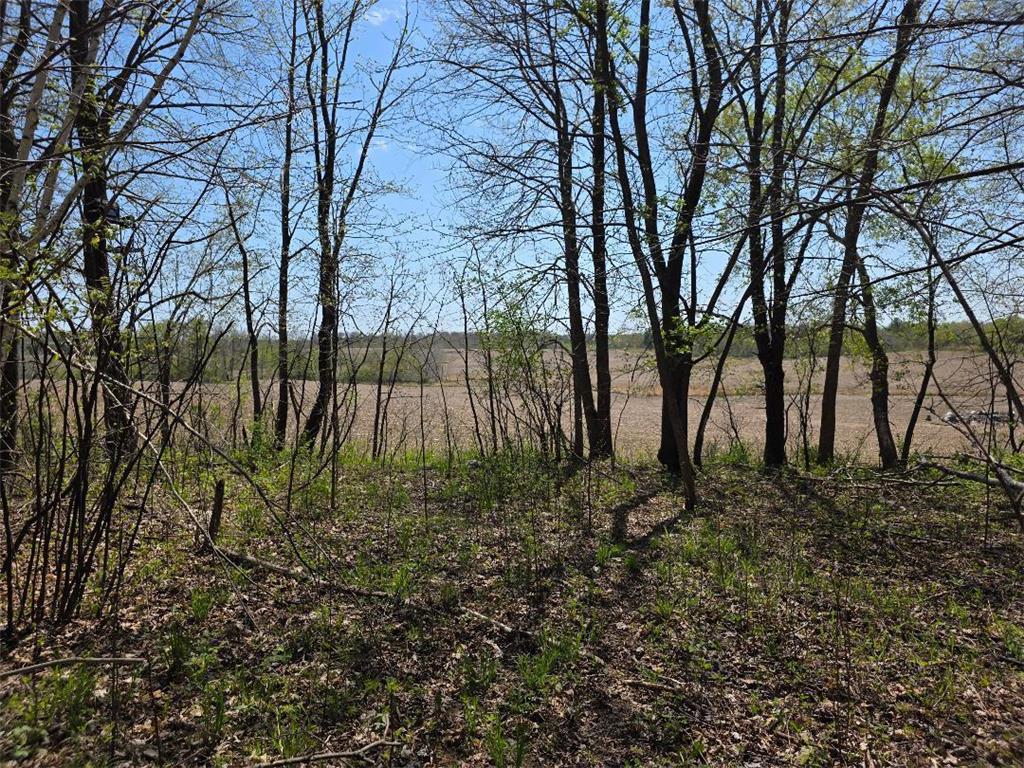 00 4th Vance Creek Twp WI 54004 6718322 image7