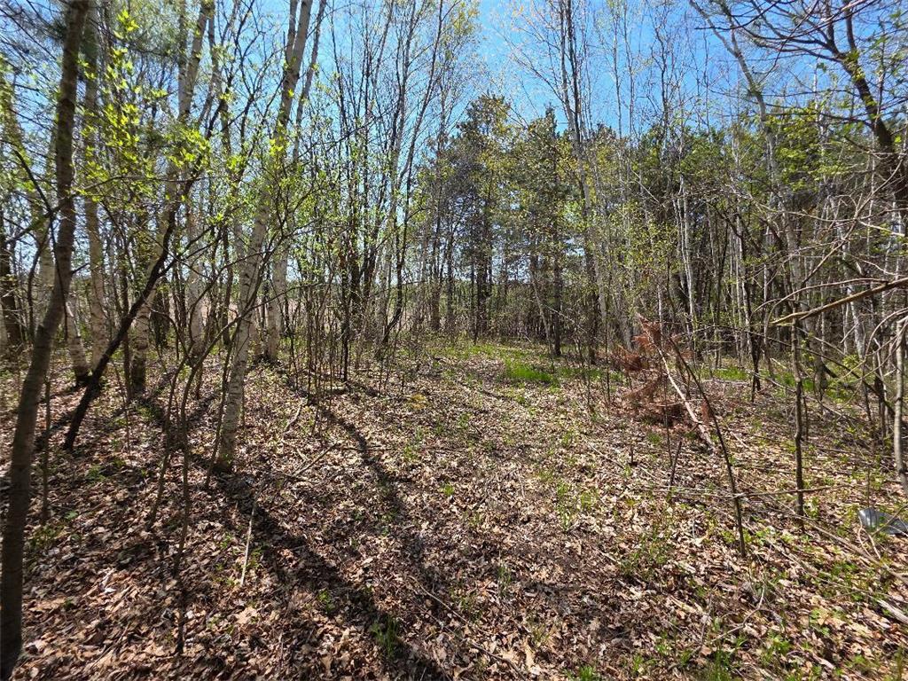 00 4th Vance Creek Twp WI 54004 6718322 image8